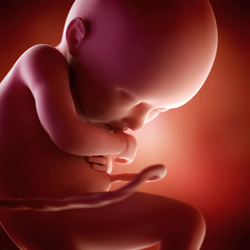 four-hundred-fewer-children-aborted-in-indiana-in-2019-according-to-new