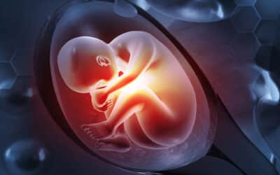 Indiana’s first quarter 2025 abortion report lists 22 reported abortions; 20 of the filed reports missing complete information