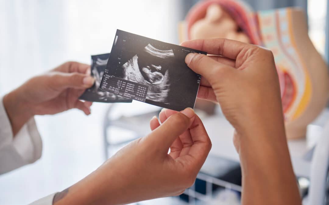 Governor Braun signs new law requiring schools to teach fetal development