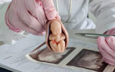 U.S. Senator Jim Banks cosponsors S. 250 the Protecting Life in Foreign Assistance Act