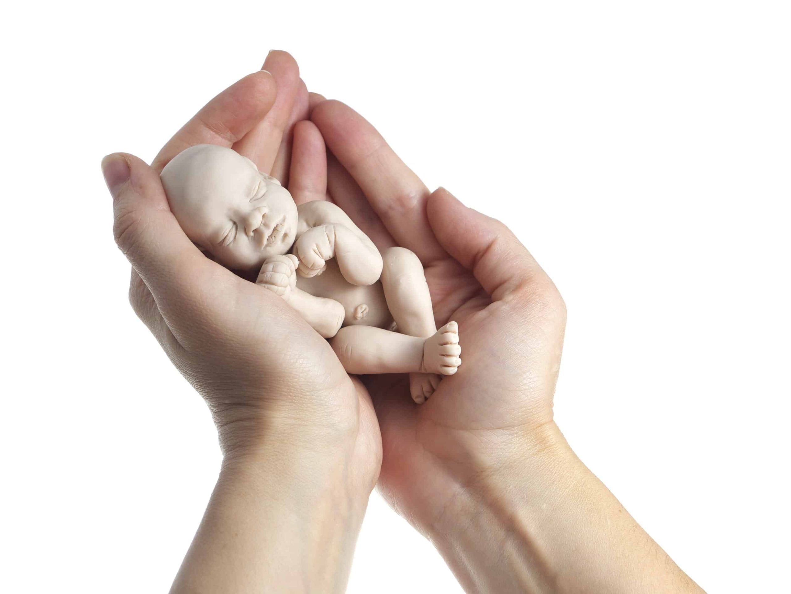 tiny baby in hand
